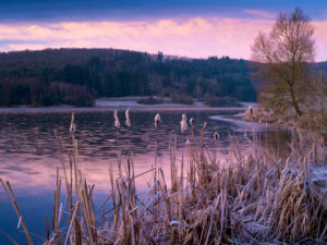 Europe, Germany, Hesse, Lahn-Dill-Bergland Nature Park, winter mood on the Aartalsee near Bischoffen Europe, Germany, Hesse, Lahn-Dill-Bergland Nature Park, winter mood on the Aartalsee near Bischoffen